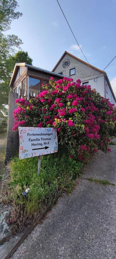 Ferienwohnungen Hering Kleingiesshubel Zewnętrze zdjęcie